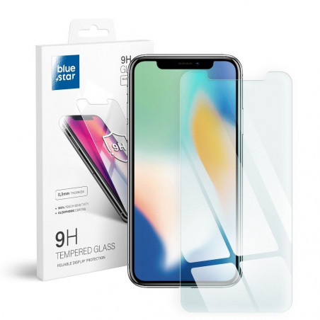 Apple iPhone X Panzerglas Blue Star 9H Durchsichtbar