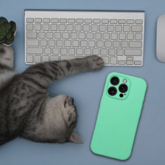 Apple iPhone 16 Pro Max Hülle Silicone 2mm Minzig